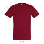 Ανδρικό T-shirt Regent